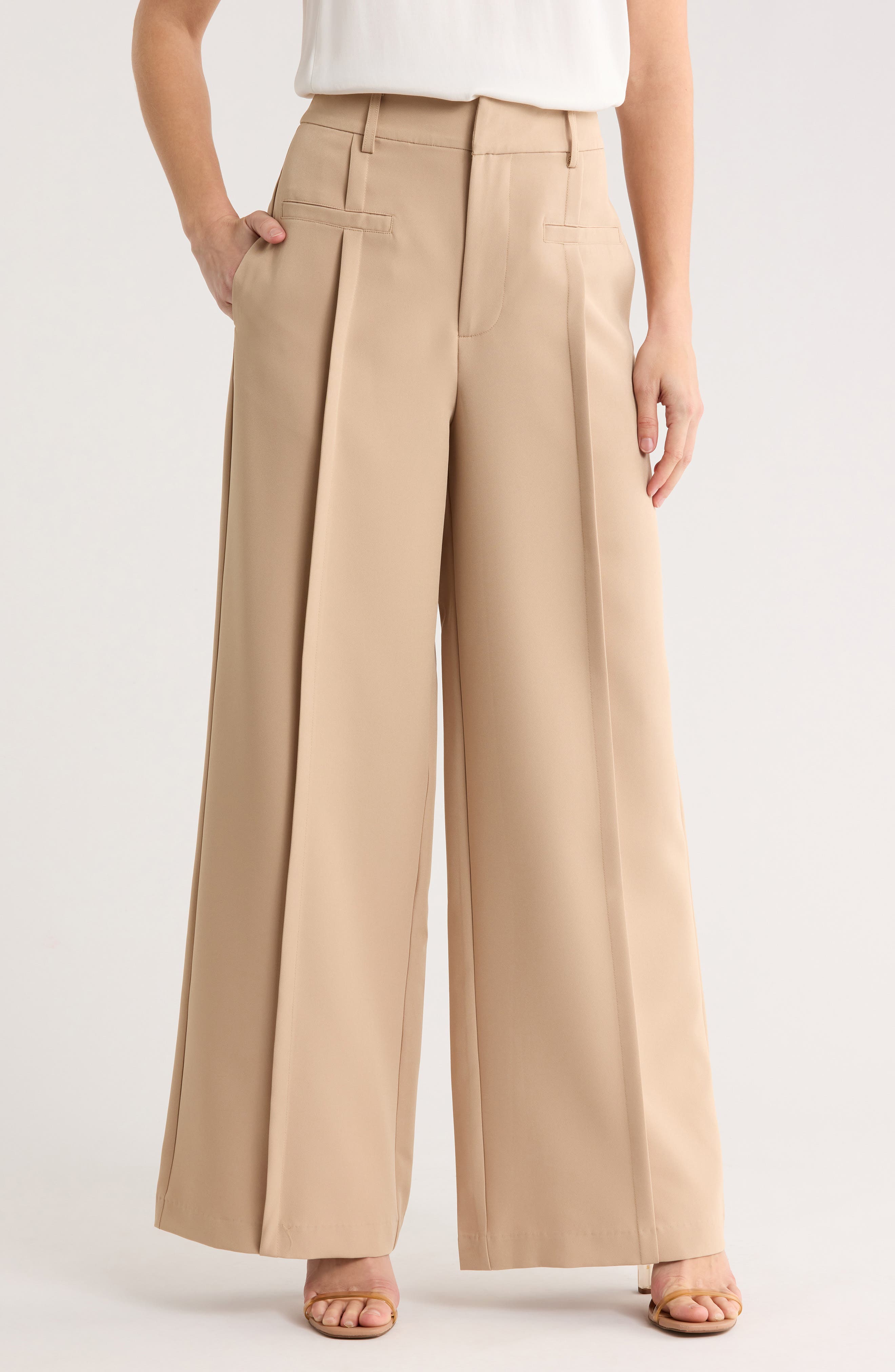 BY DESIGN Marcia Wide Leg Pants in Gilded Beige at Nordstrom Rack, Size 10
