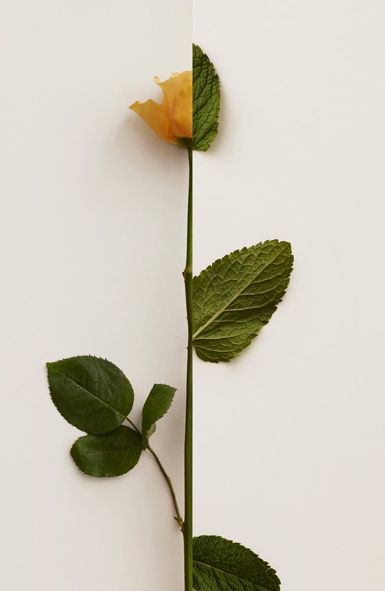 Burberry My Burberry Black Parfum Spray, Alternate, color,