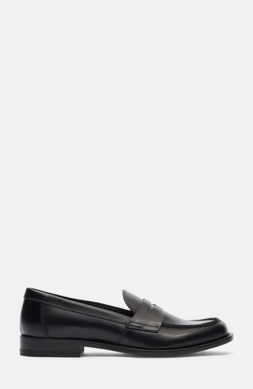 Scarosso Harper Loafers In Black
