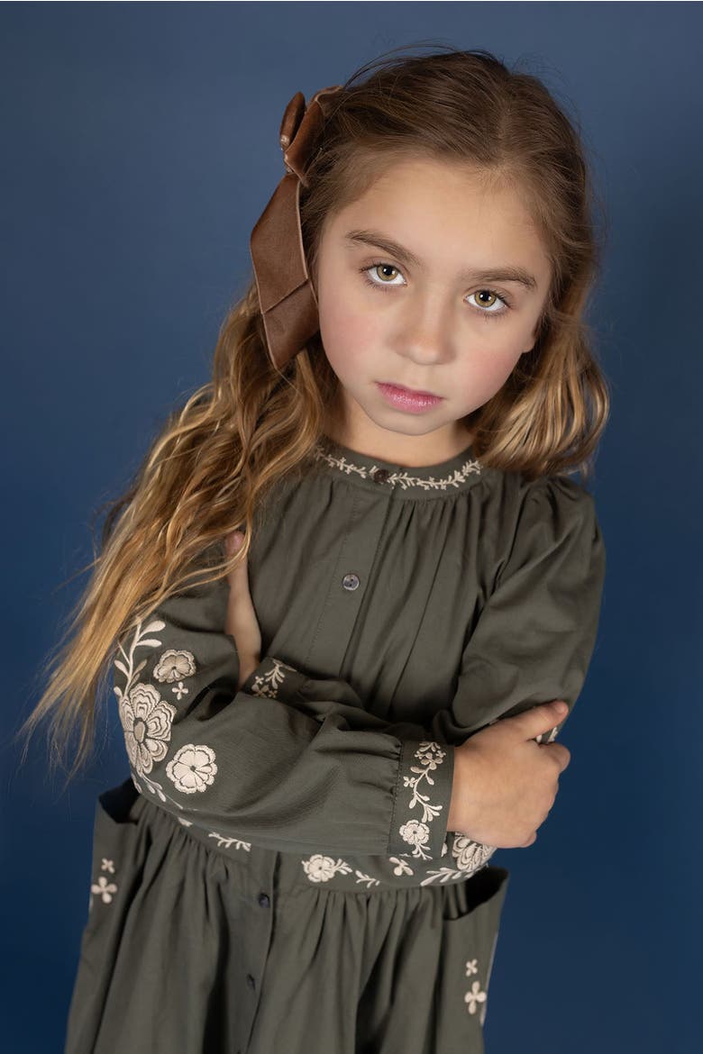 Looms Floral Embroidered Waisted Cotton Dress, Alternate, color, Olive