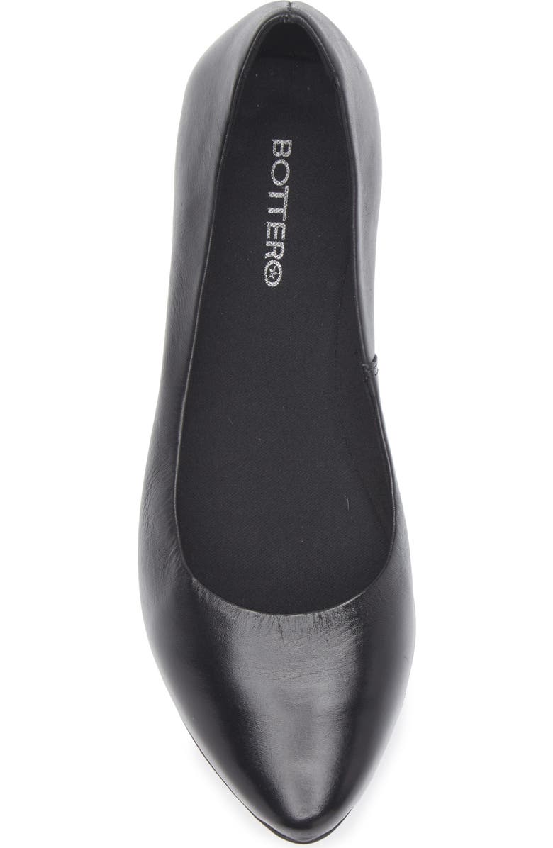 Bottero Botdogs Ballet Flat, Alternate, color, Preto