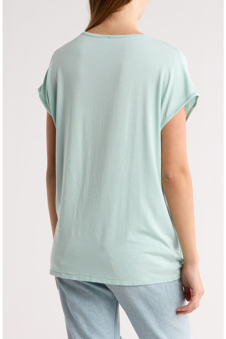 Round Neck Dolman Sleeve Top, Alternate, color, LIMPET SHELL