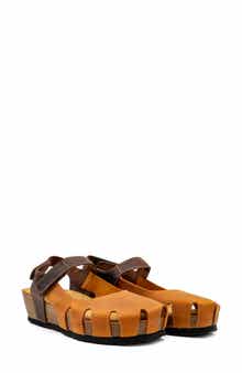Amy Sandal