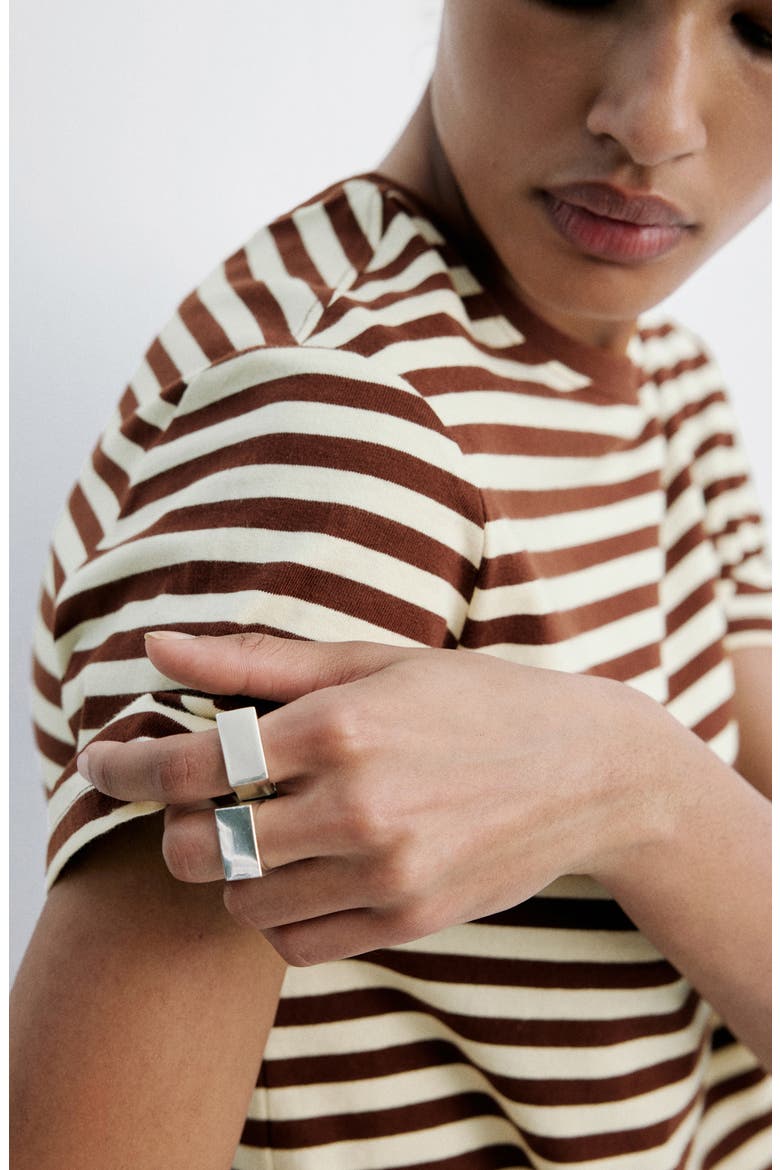 Stripe Cotton T-Shirt, Alternate, color, BROWN