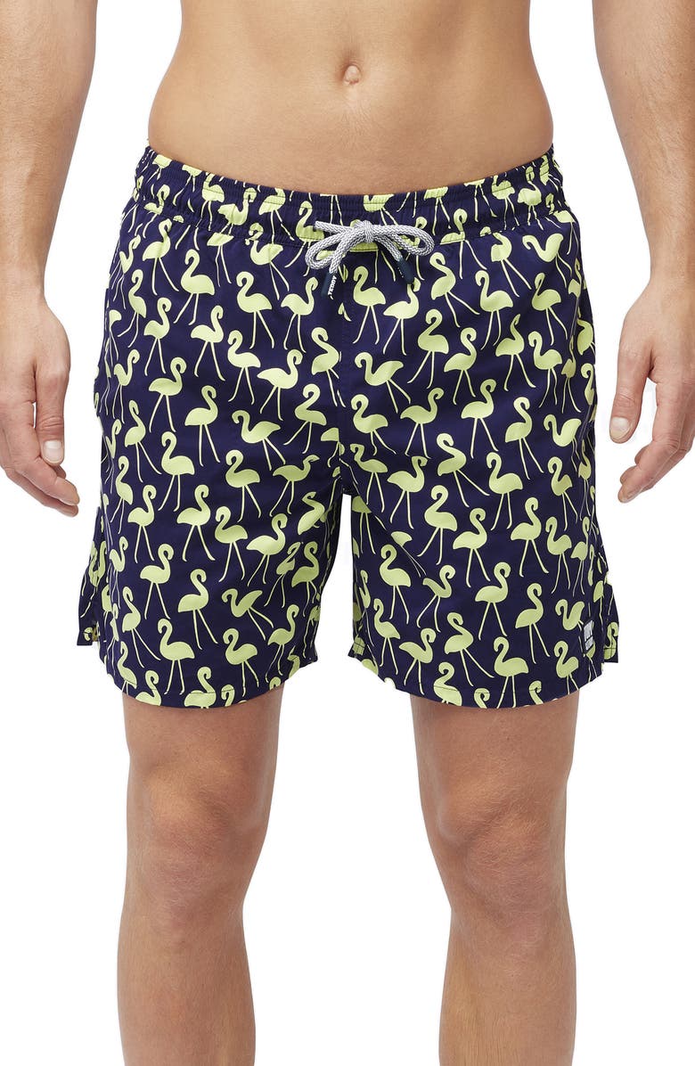 Tom & Teddy Flamingo Print Swim Trunks, Main, color, 