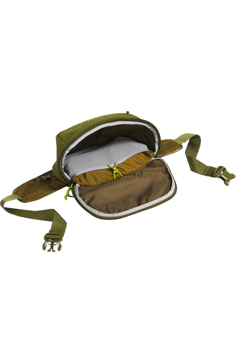The North Face Borealis Convertible Backpack, Alternate, color, Forest Olive/ Moss Green