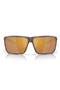  Matte Tortoise / Gold 580G