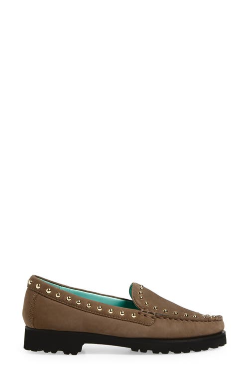 Robert Zur Diane Stud Loafer In Brown