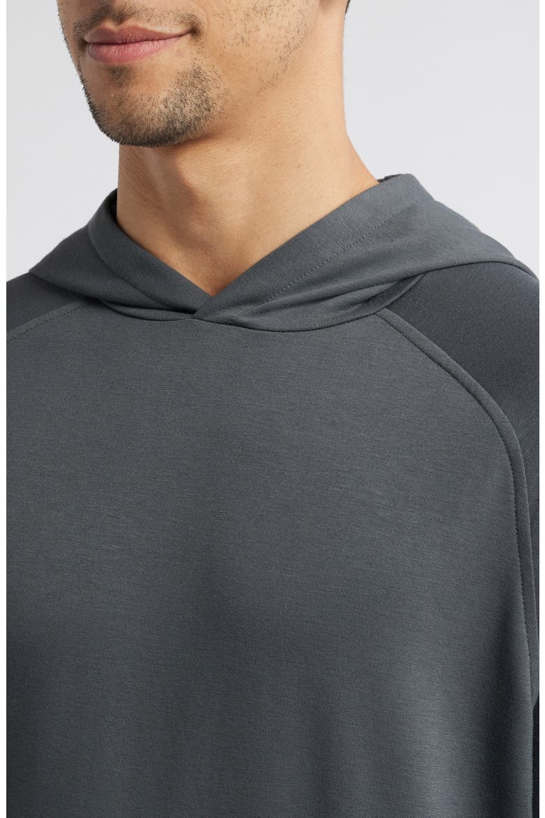 Fleece Hoodie, Alternate, color, BLACK SAND