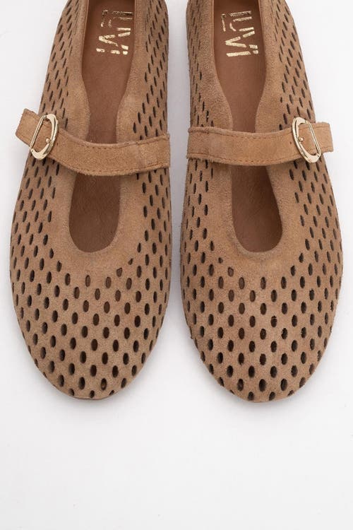 Forever & Always Shoes Arian Leather Ballet Flat In Brown