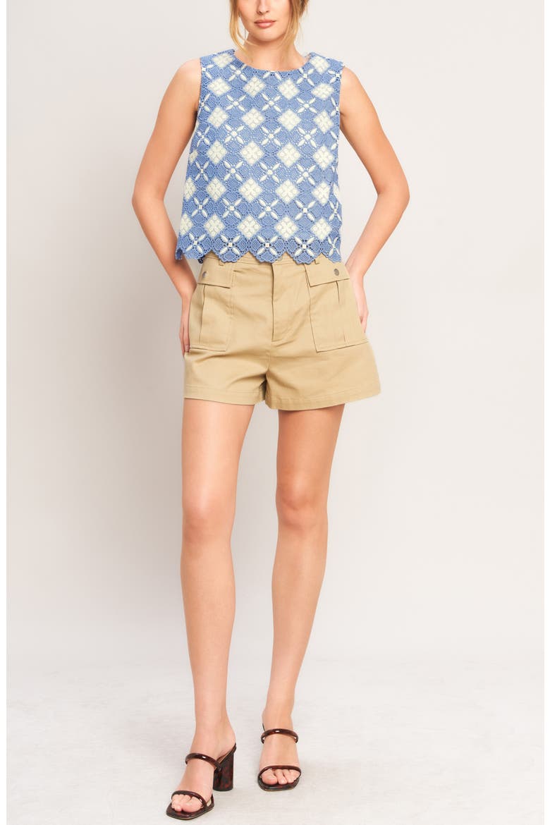Sleeveless Embroidered Lace Top, Alternate, color, BLUE