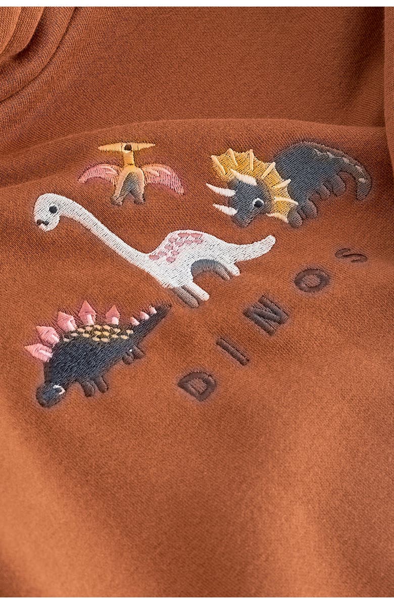 NEXT Kids' Dinosaur Embroidered Graphic Hoodie, Alternate, color, 