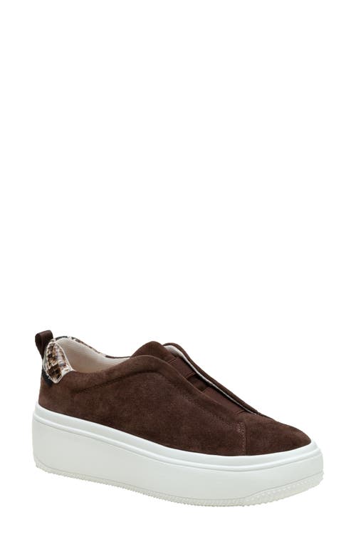 Linea Paolo Golde Platform Sneaker in Chocolate Brown/Brown 