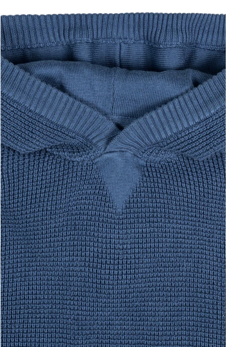 Hope & Henry Baby Boys' Organic Kanga Sweater Hoodie, Infant, Alternate, color, Dark Blue Waffle With Tipping