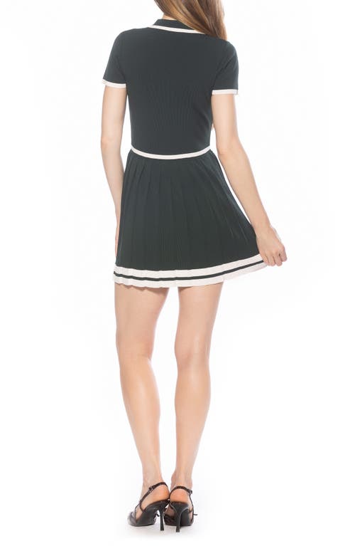 Alexia Admor Jasmine Pleated Dress In Multi
