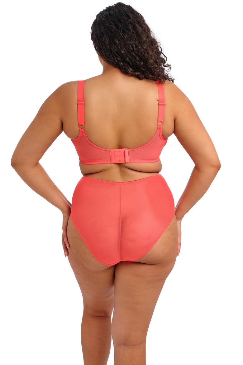 Matilda Full Figure Embellished Briefs, Alternate, color, SUNSET