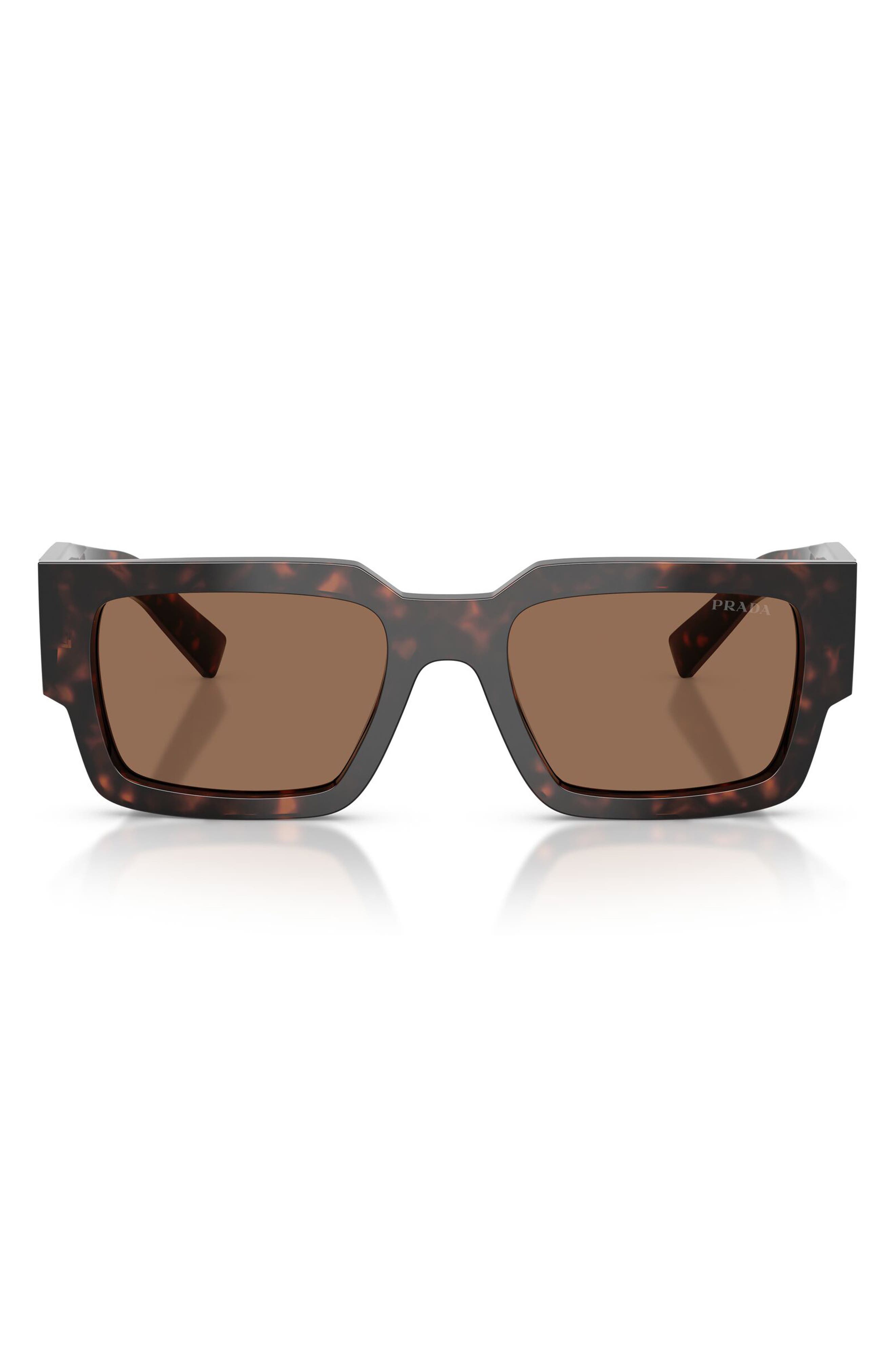 ROOT TORTOISE / DARK BROWN