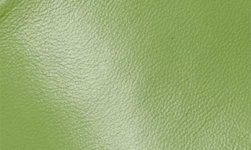 Beek Gallito Slide Sandal In Green