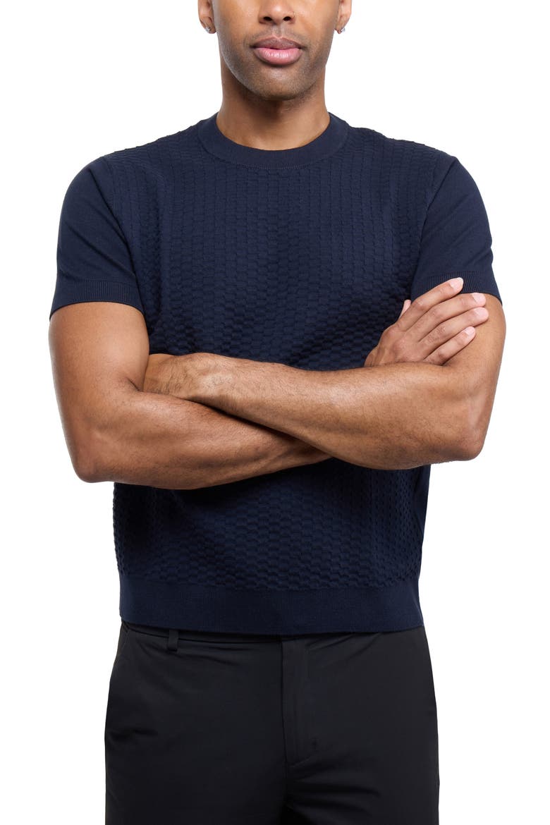 Check Short Sleeve Sweater, Alternate, color, NAVY