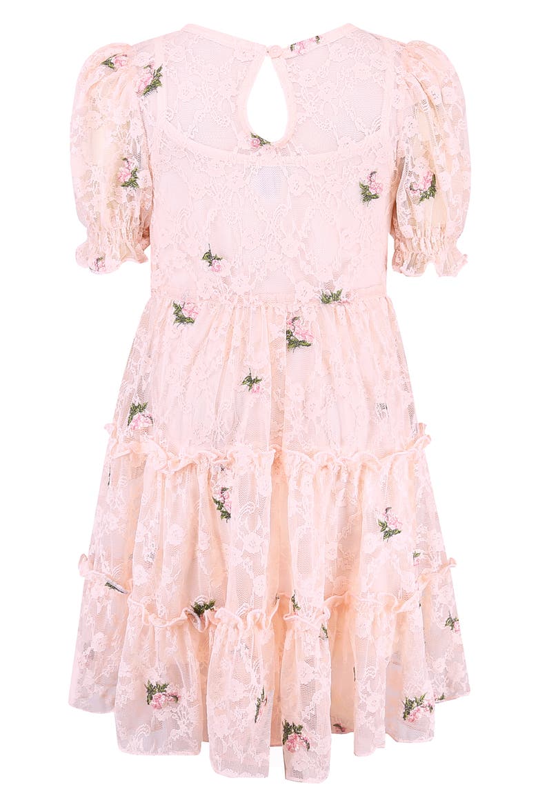 Kids' Floral Embroidered Lace Tiered Dress, Alternate, color, BLUSH