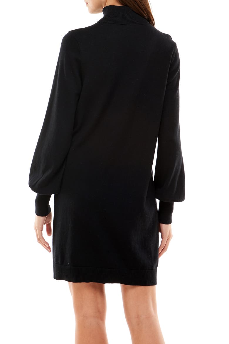 Morela Long Sleeve Turtleneck Sweater Dress, Alternate, color, BLACK
