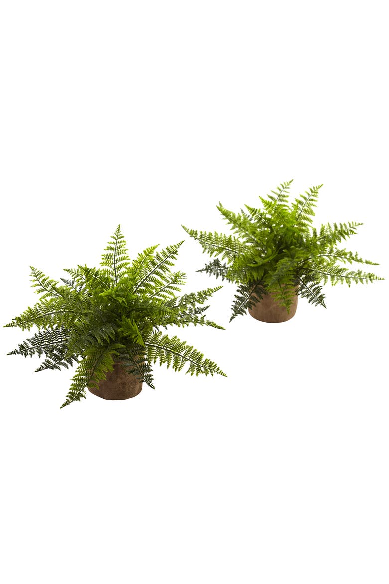 15-in Ruffle Fern Bush with Burlap Base, Main, color, Green
