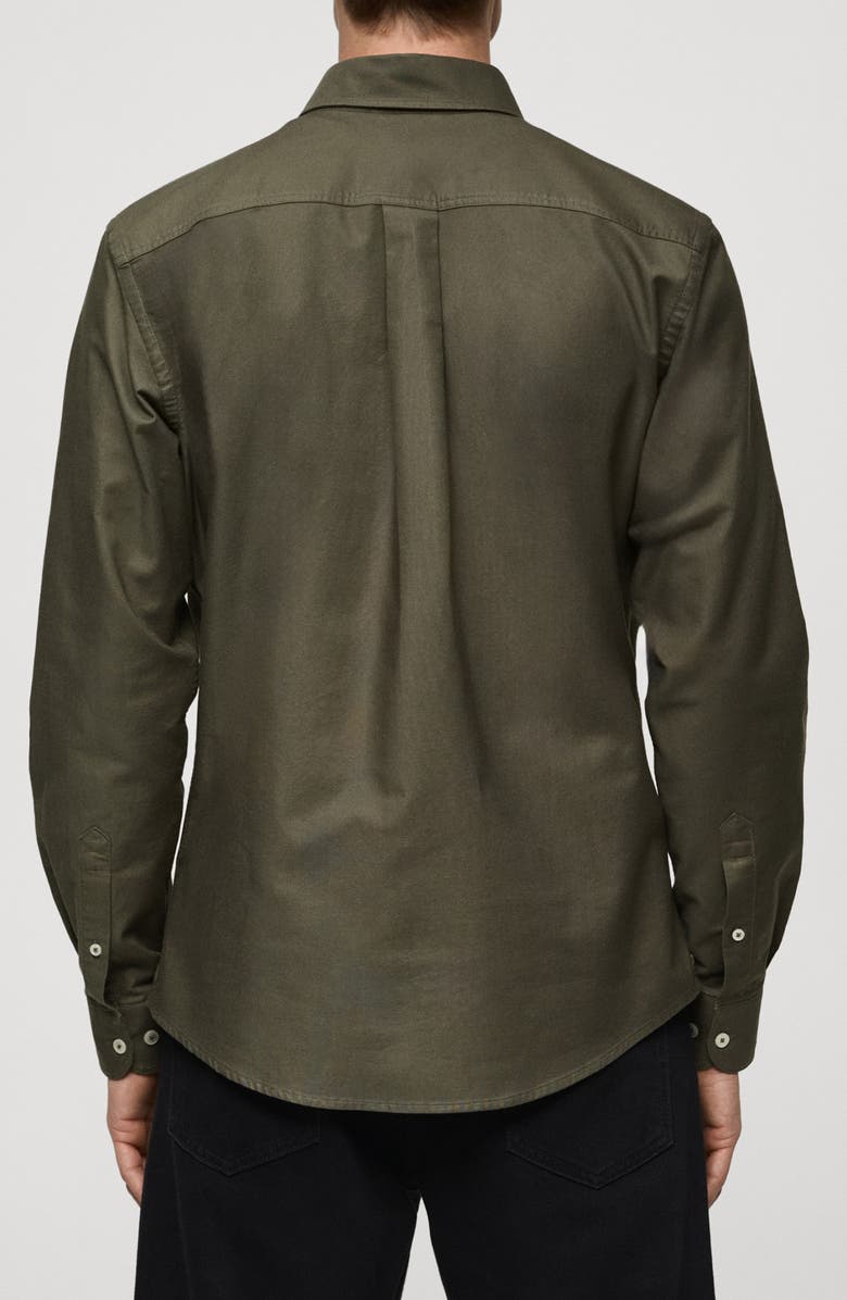 MANGO Cotton Oxford Button-Down Shirt, Alternate, color, Khaki Green