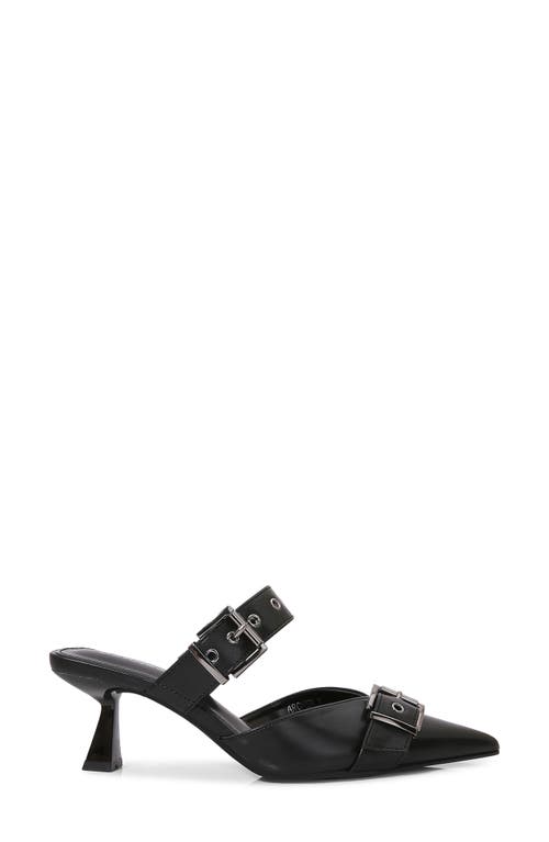 Berness Archer Pointed Toe Kitten Heel Mule In Black