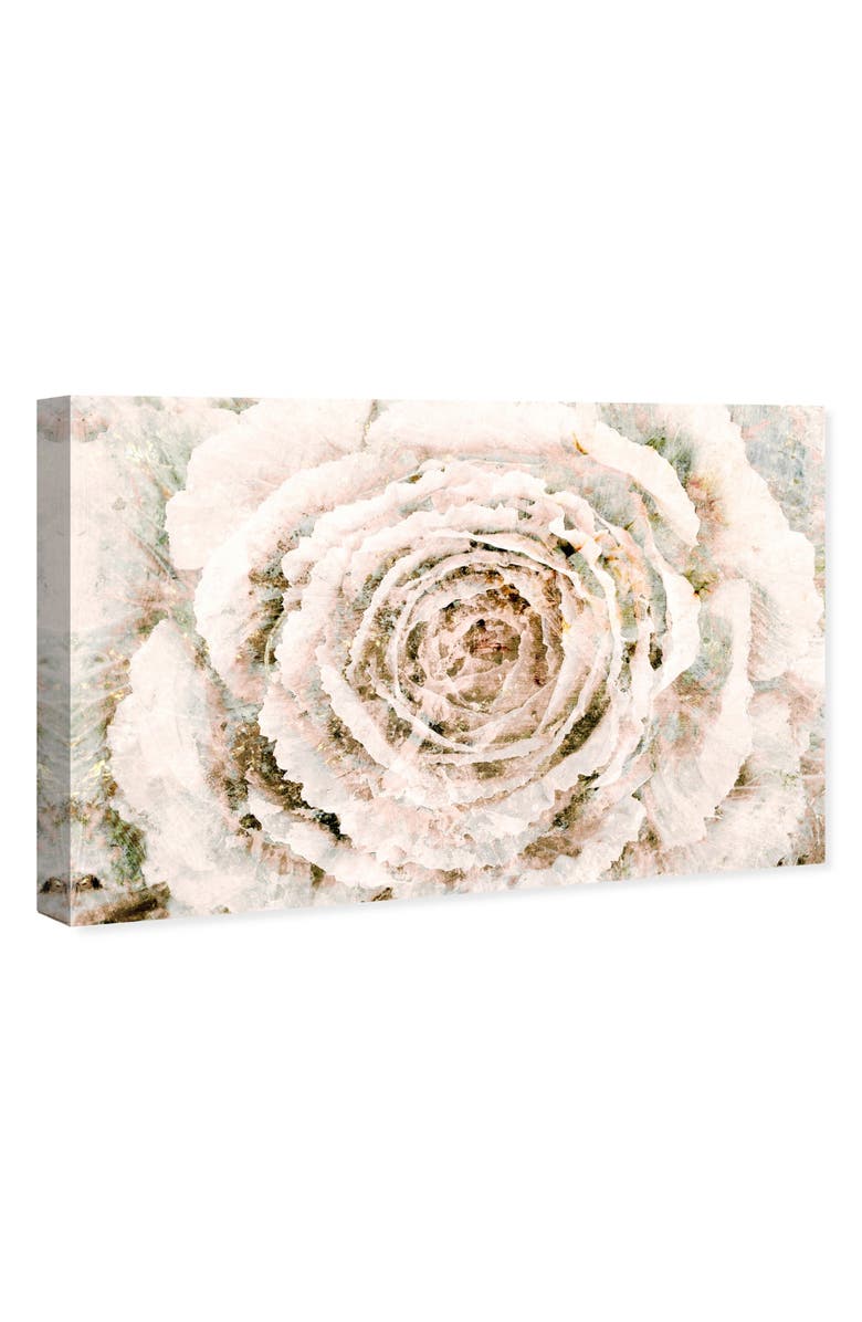 Oliver Gal Brown Winter Flower Canvas Wall Art, Alternate, color,
