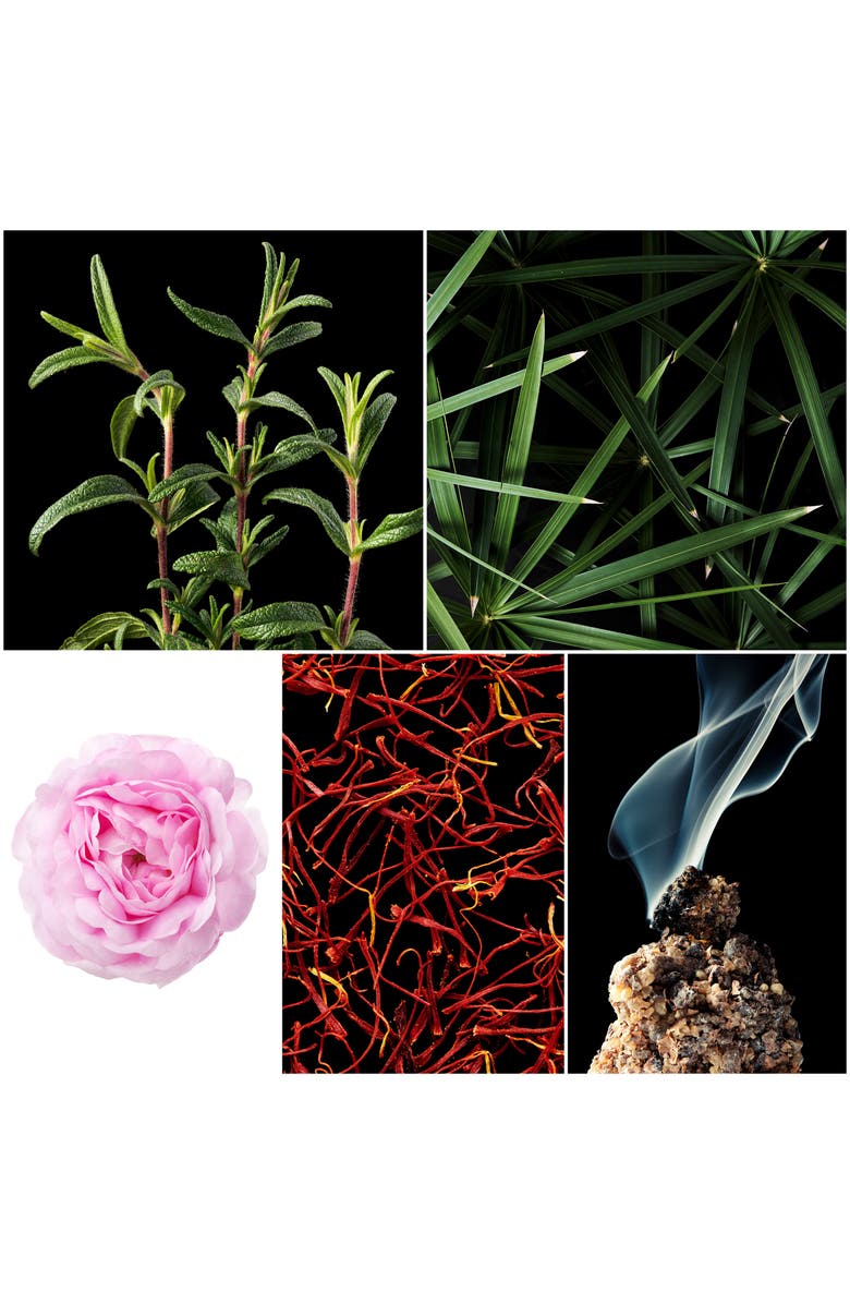 Penhaligon's Cairo Eau de Parfum, Alternate, color,