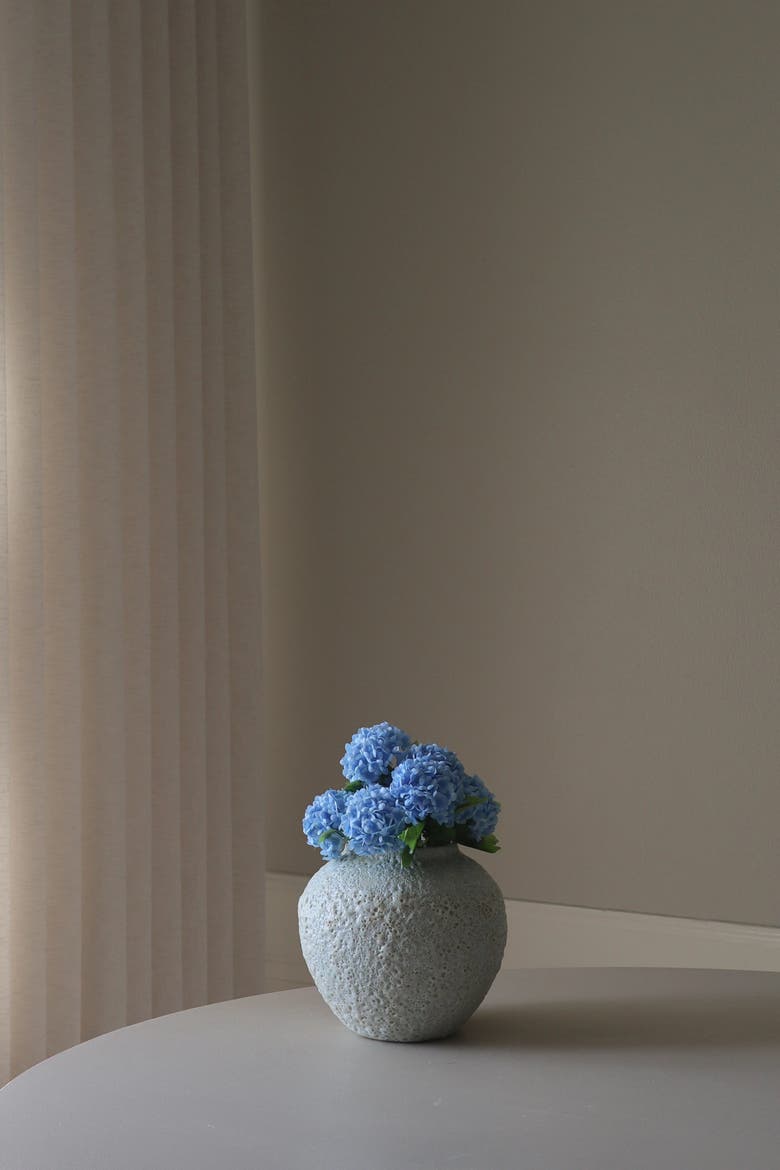 Blue Mini Snowball Hydrangea, Alternate, color, Blue