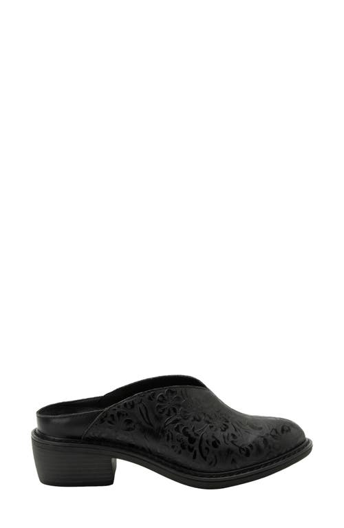 Alegria By Pg Lite Michy Mule