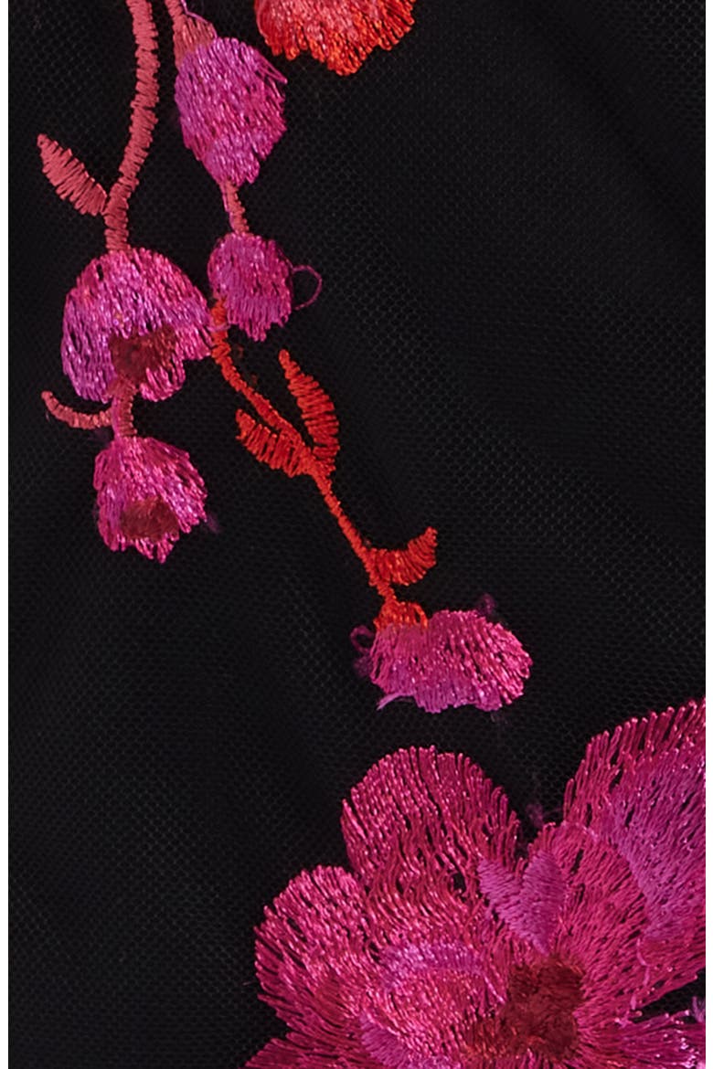Embroidered Mesh Dress, Alternate, color, BLK FUSCHI