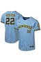 selected Powder Blue