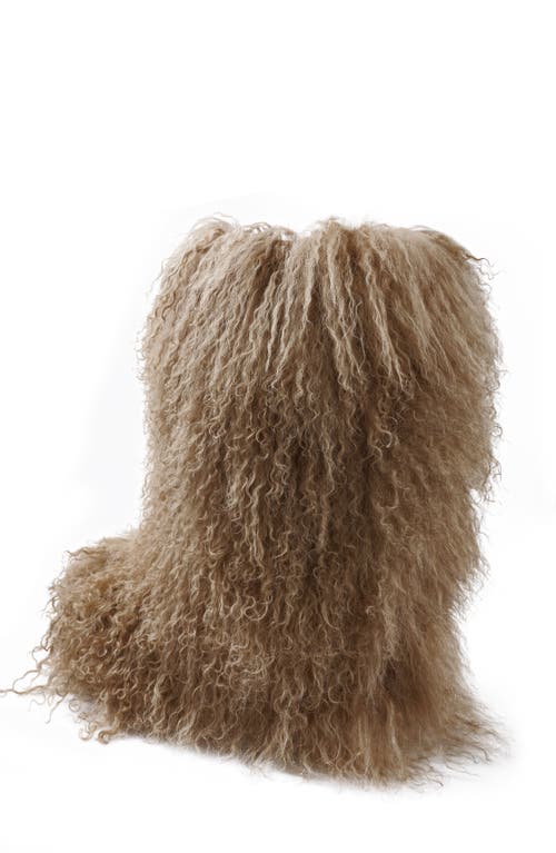 Zigi Risha Genuine Shearling Knee High Boot In Brown