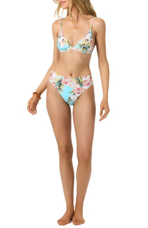 O'neill Islands Tropic Bikini Bottoms In Multi