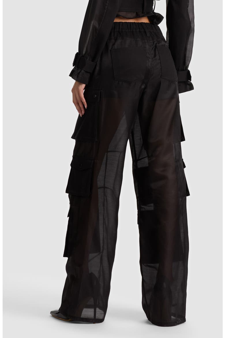 Olympia Mr. Baggy Sheer Cargo Pants, Alternate, color, BLACK