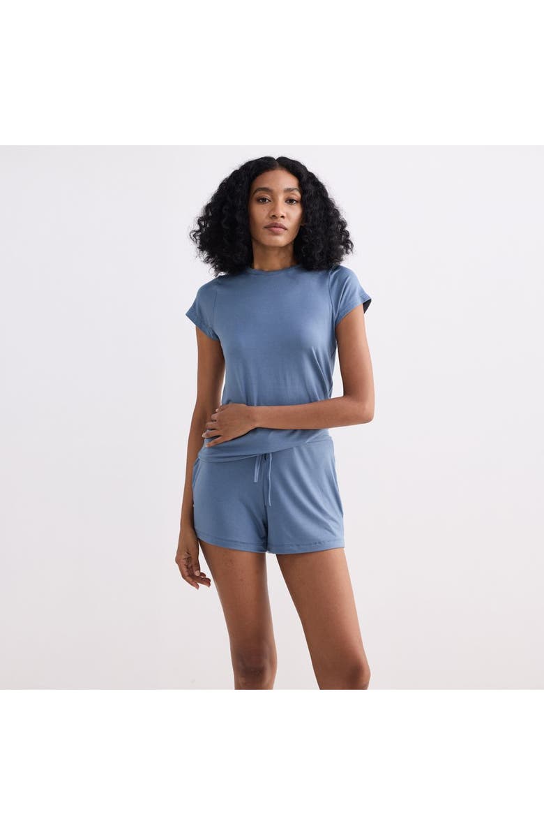 Reistor Essential Short Sleeve Tee in Blue, Alternate, color, Blue