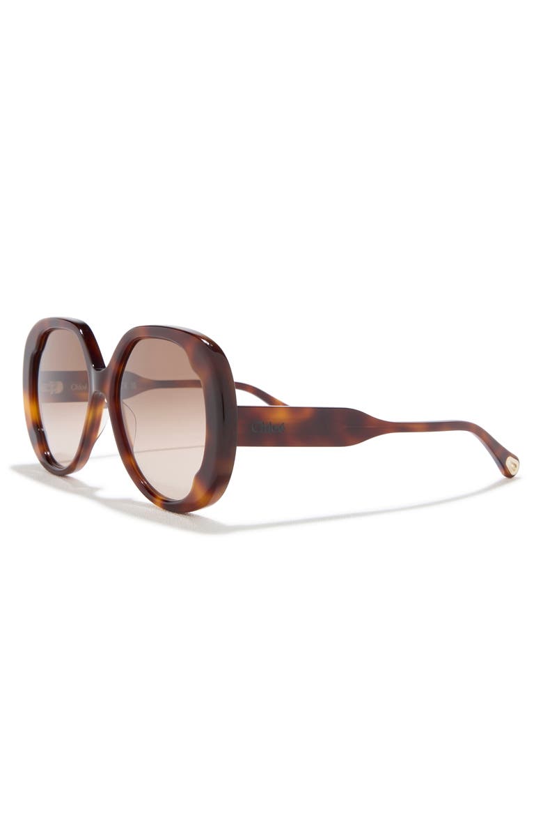 Chloé 56mm Round Sunglasses, Alternate, color, Havana Havana Brown