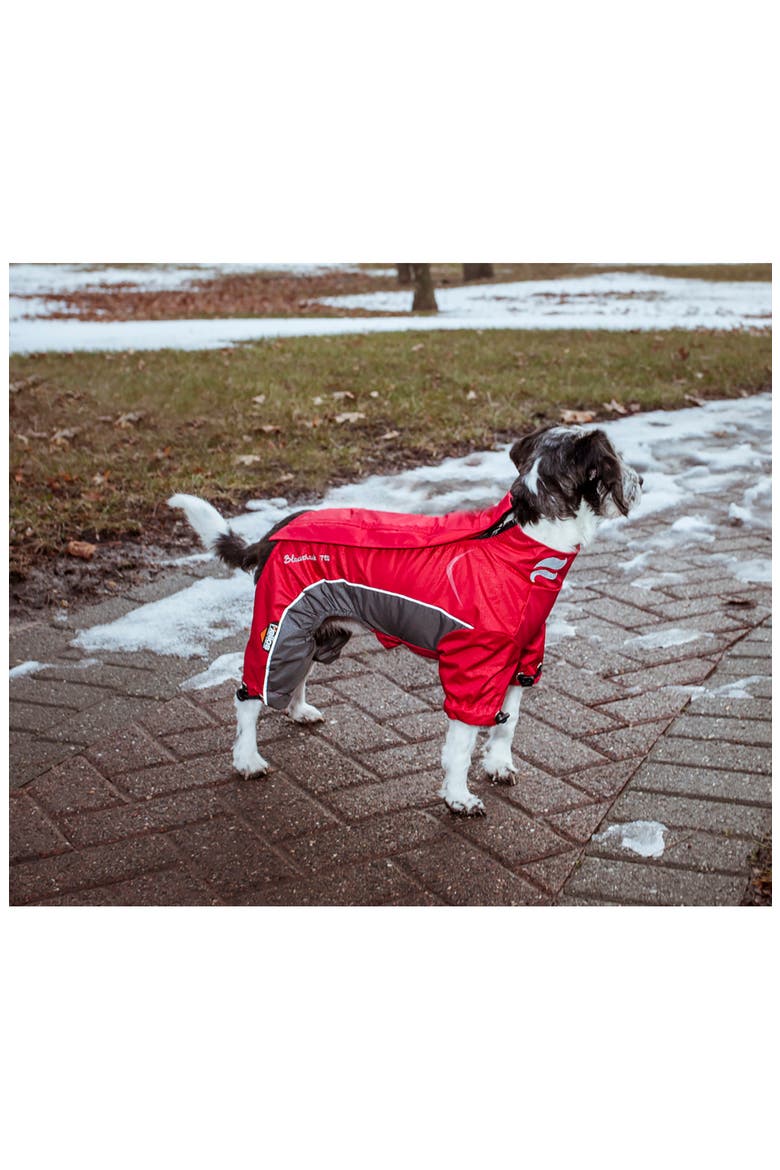 Dog Helios ® Blizzard Full-Bodied Adjustable and 3M Reflective Dog Jacket - Large, Alternate, color, COLA RED