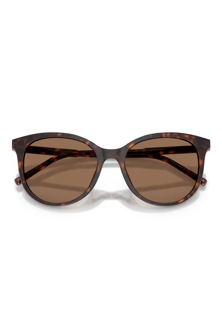 55mm Phantos Sunglasses, Alternate, color, HAVANA / DARK BROWN