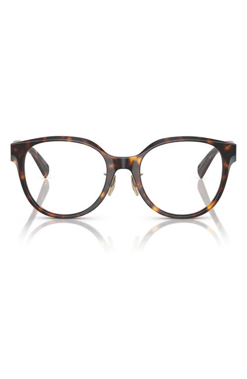 Tiffany & Co . 52mm Round Optical Glasses In Havana