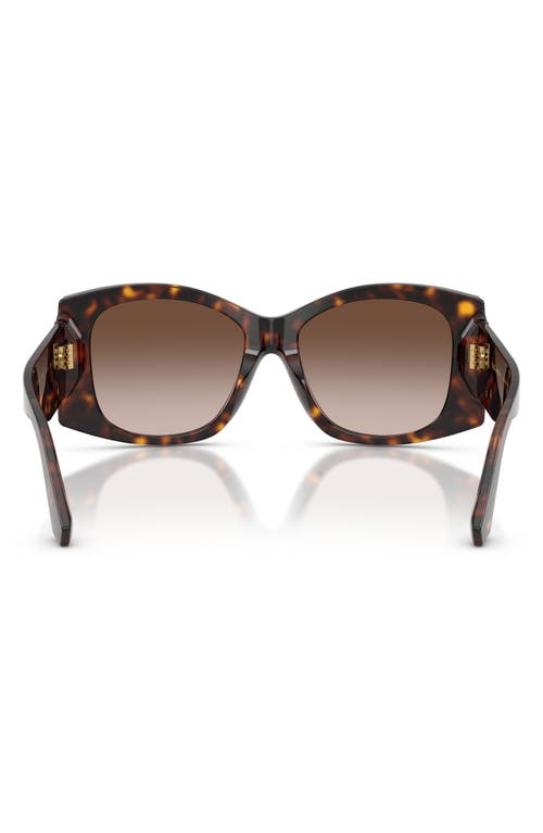 Dolce & Gabbana Dg4501 Acetate Butterfly Sunglasses In Brown