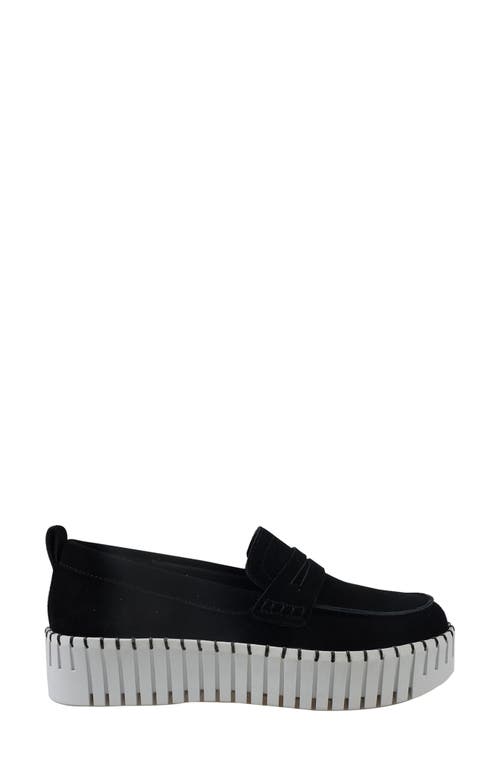 National Comfort Makota Suede Loafer In Black Suede