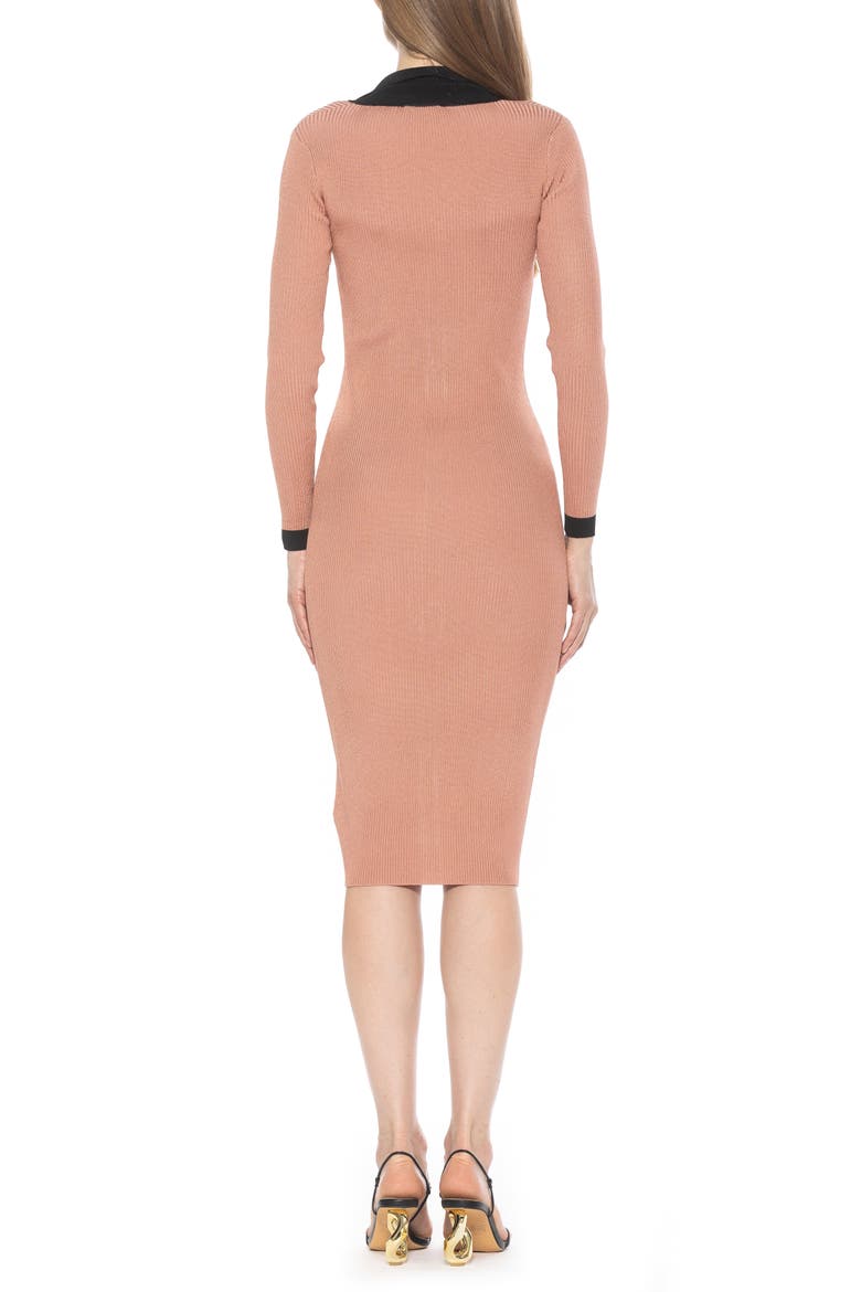 Cordelia Knit Long Sleeve Shirtdress, Alternate, color, CAMEL