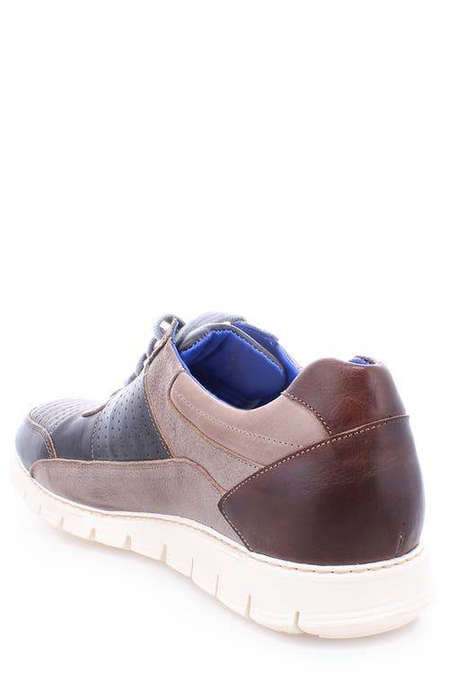Bed Stu Fairman Sneaker In Starry Night Rustic