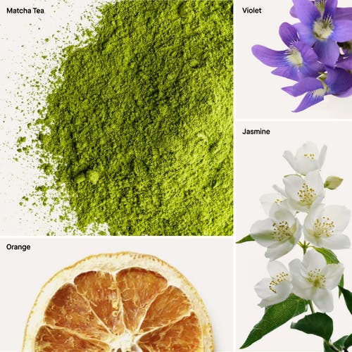 Dusa Fragrances Té Matcha In Multi