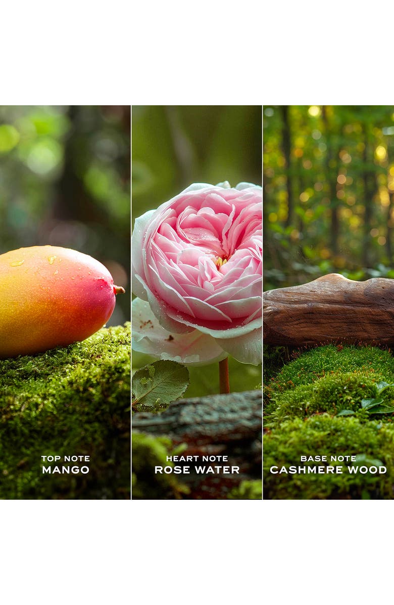 Marc Jacobs Daisy Ever So Fresh Eau de Parfum, Alternate, color,