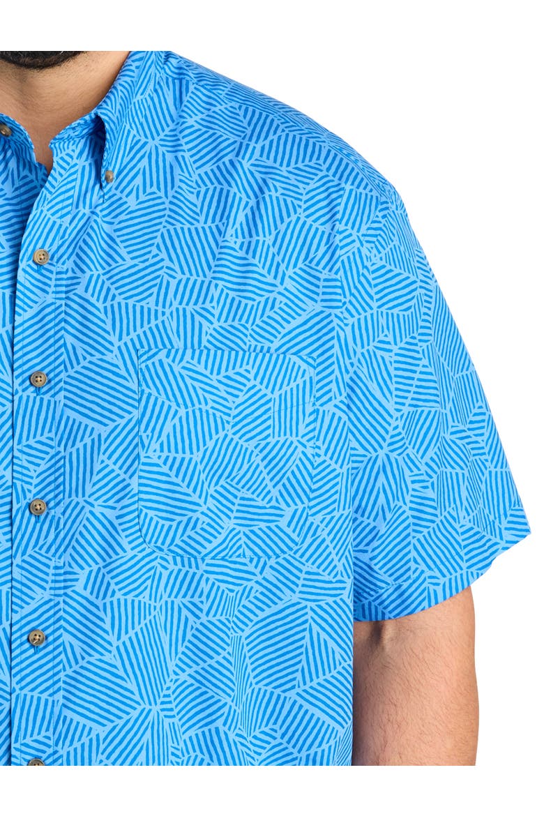 Big & Tall Easy-Care Striped Sport Shirt, Alternate, color, BLUE
