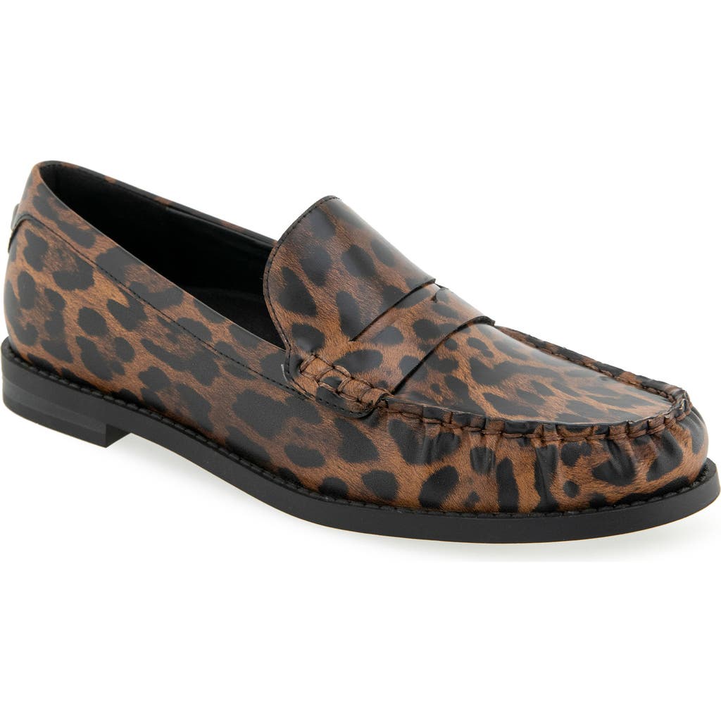Aerosoles Sienna Penny Loafer
